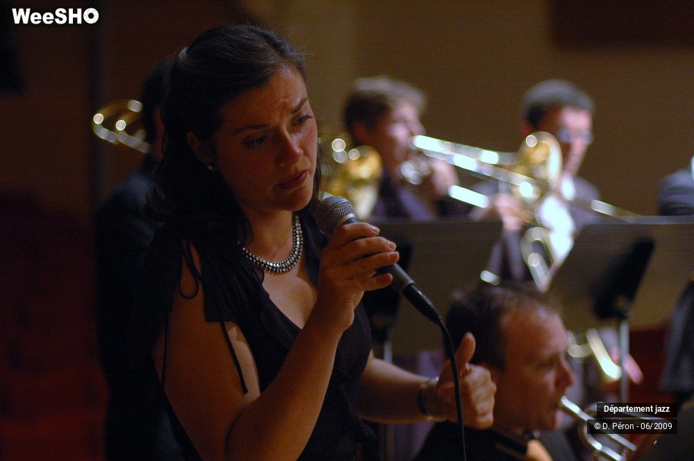 17/40 photos du spectacle Concert Gourmand