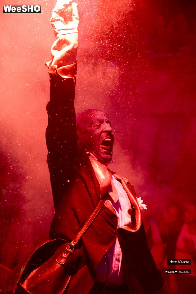 14/50 photos du spectacle Generik Vapeur Portraits