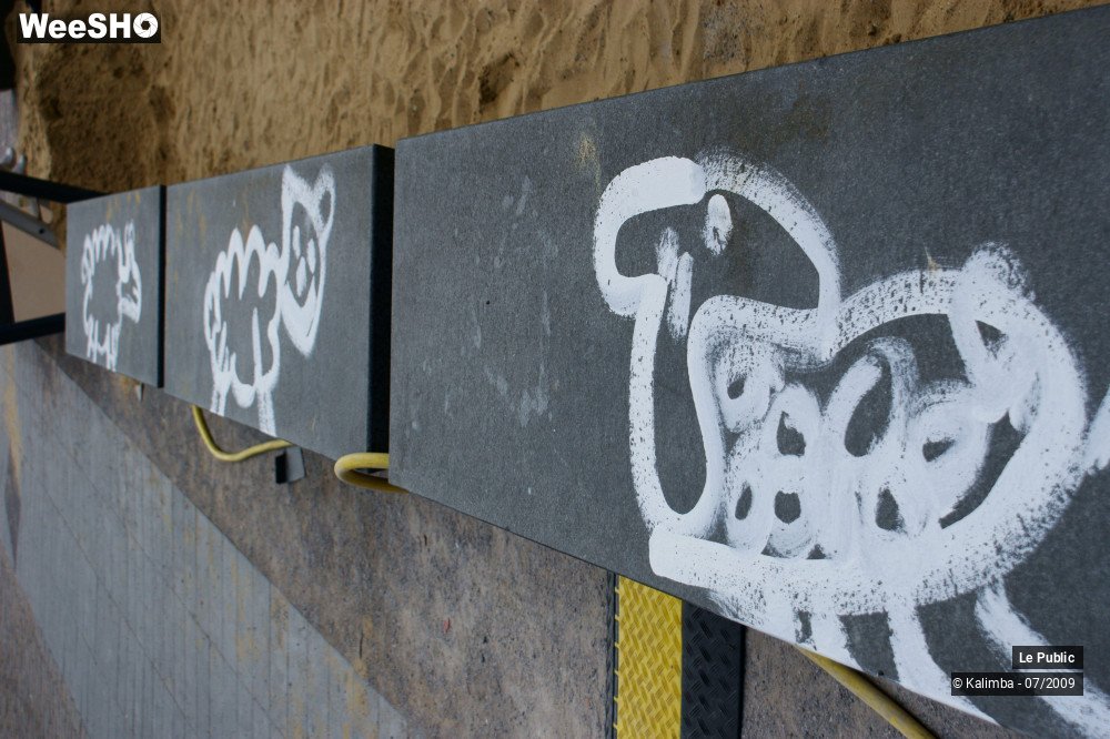 12/40 photos du spectacle Dessine moi un mouton