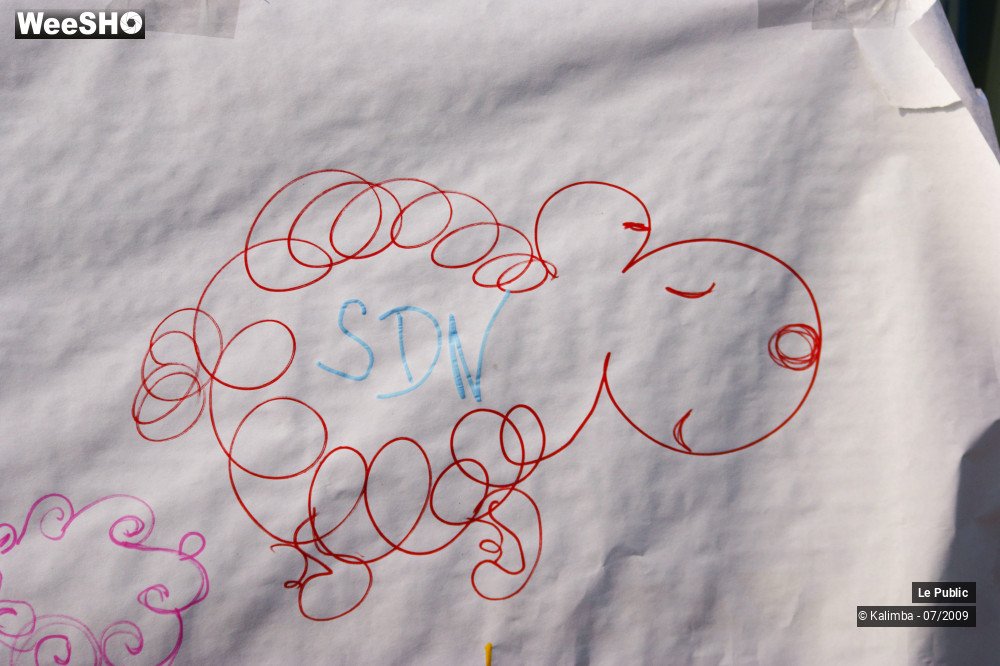 18/40 photos du spectacle Dessine moi un mouton