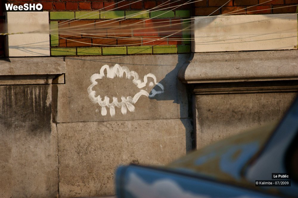 19/40 photos du spectacle Dessine moi un mouton