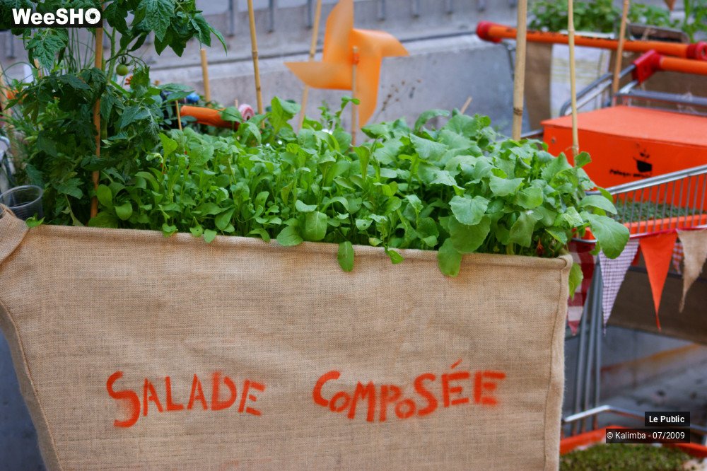 30/43 photos du spectacle Pile au Rendez-Vous Ambiance