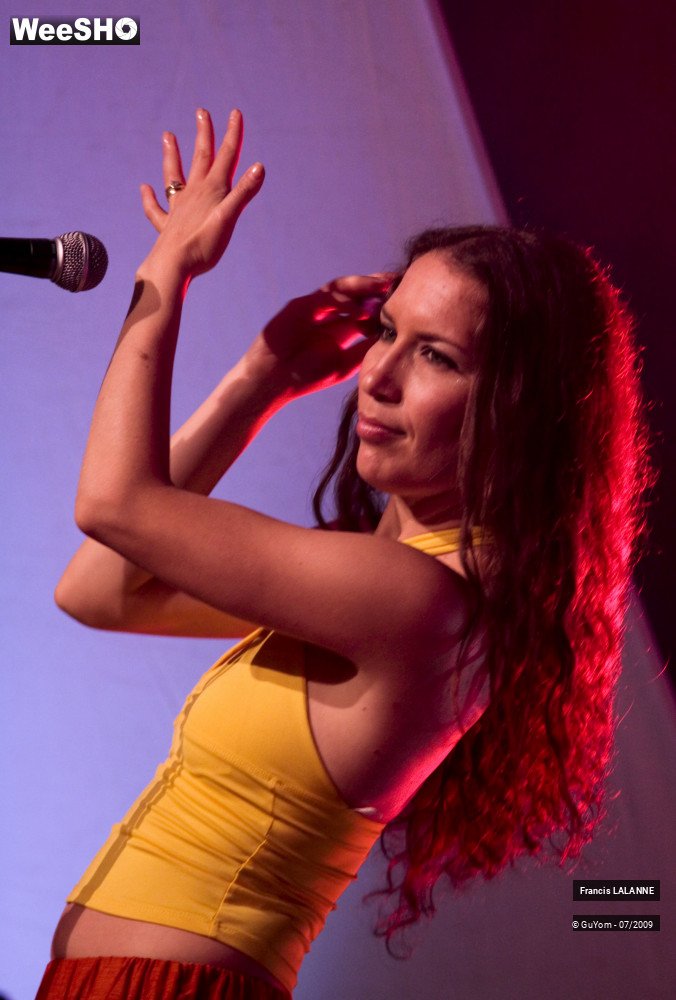 19/50 photos du spectacle Francis LALANNE