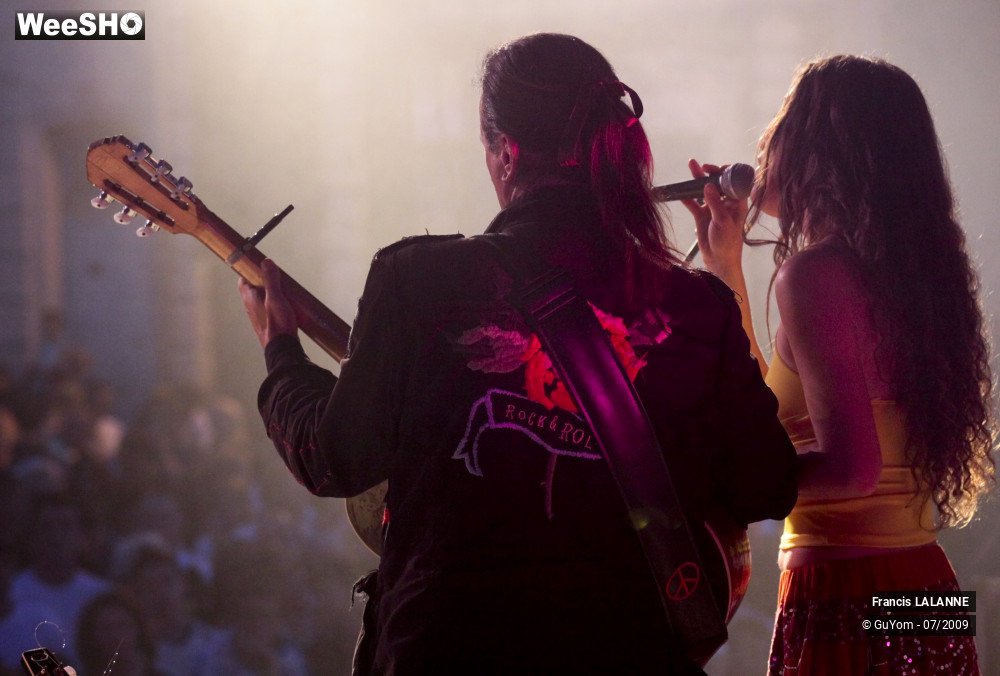 23/50 photos du spectacle Francis LALANNE