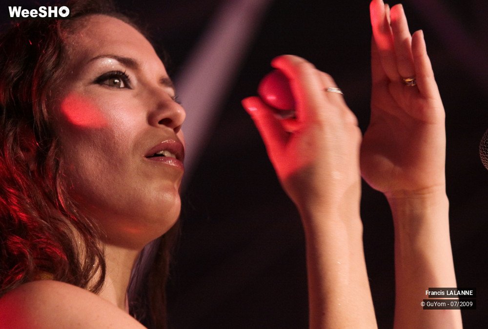 28/50 photos du spectacle Francis LALANNE