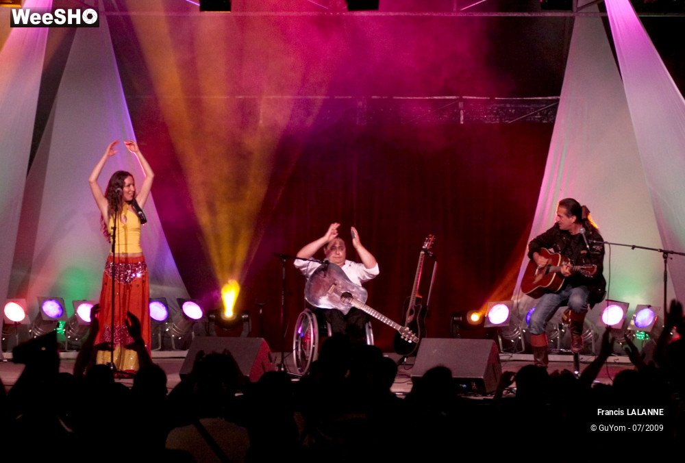 33/50 photos du spectacle Francis LALANNE