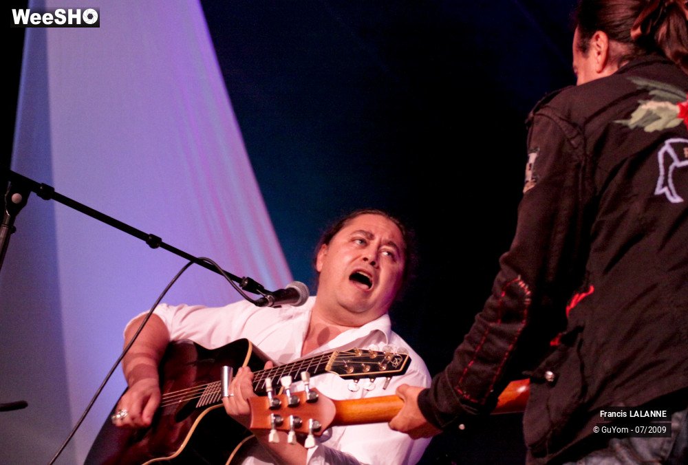 35/50 photos du spectacle Francis LALANNE