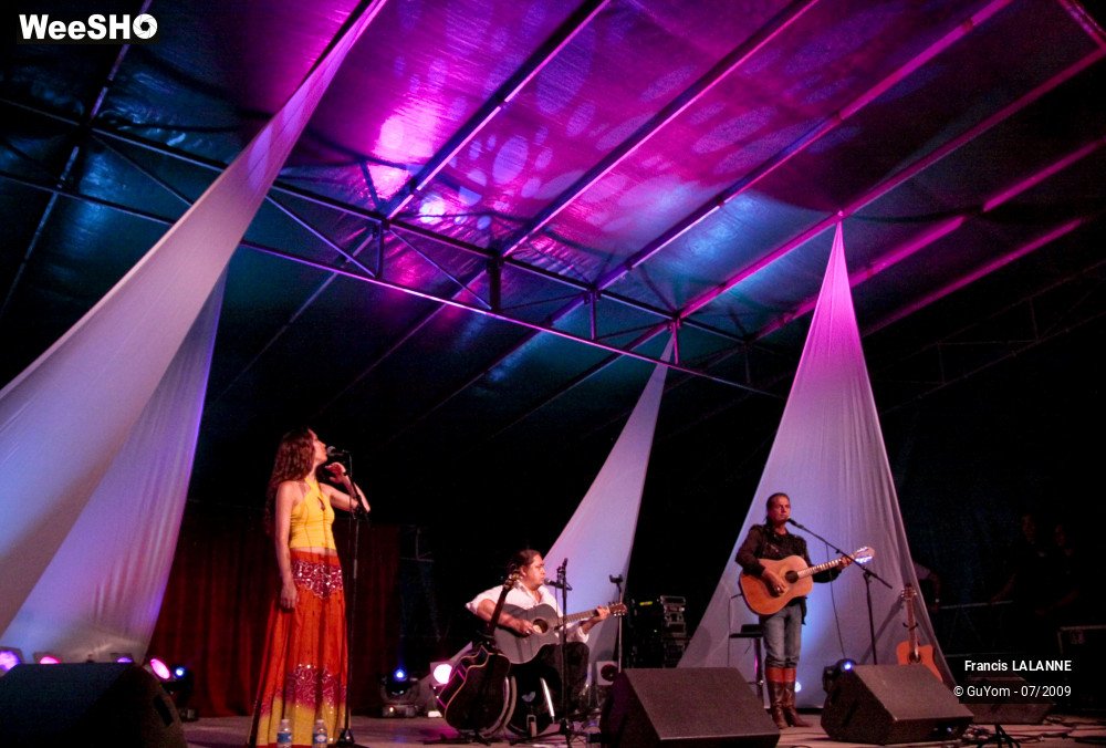 48/50 photos du spectacle Francis LALANNE