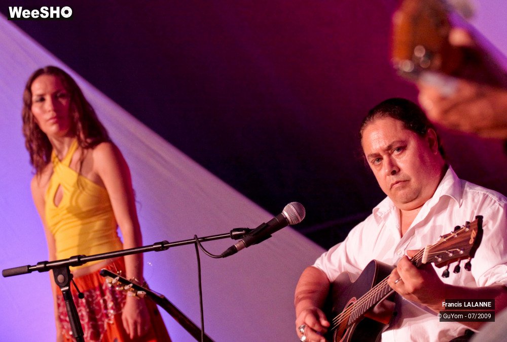 49/50 photos du spectacle Francis LALANNE