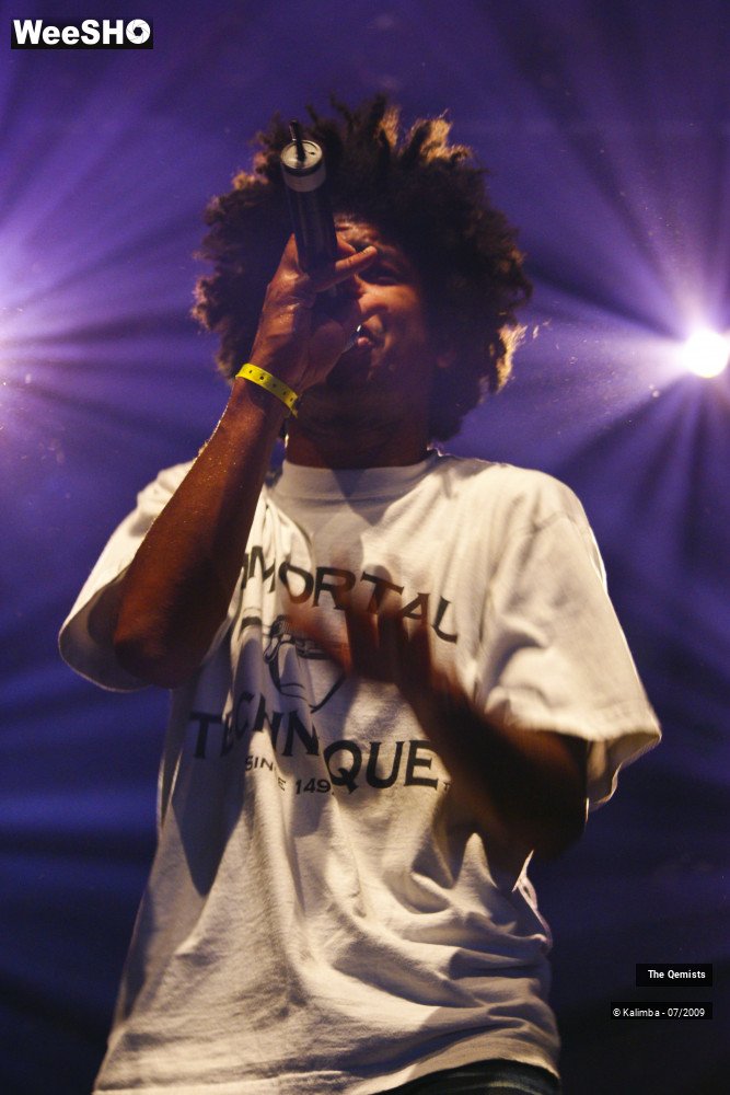 1/32 photos du spectacle The Qemists