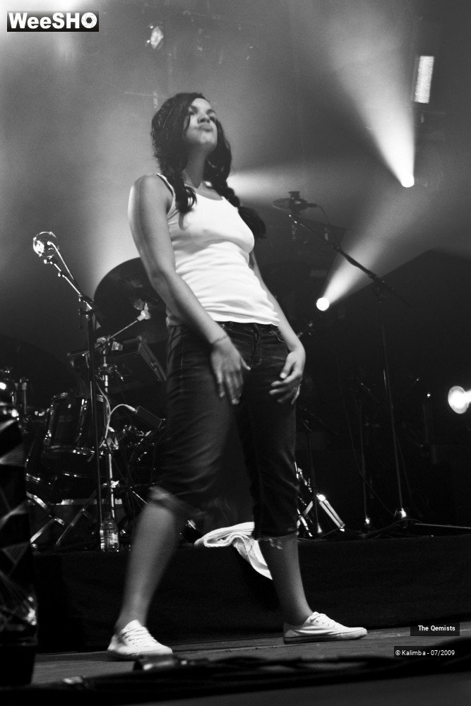 5/32 photos du spectacle The Qemists