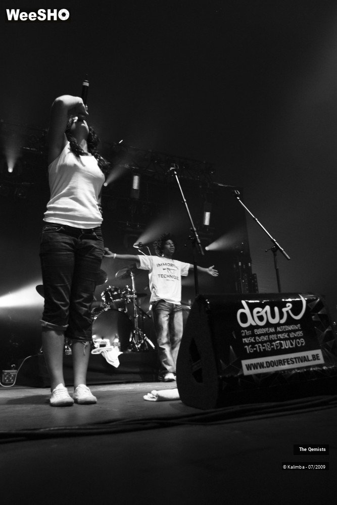 9/32 photos du spectacle The Qemists