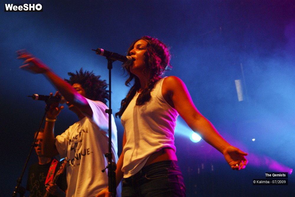 14/32 photos du spectacle The Qemists