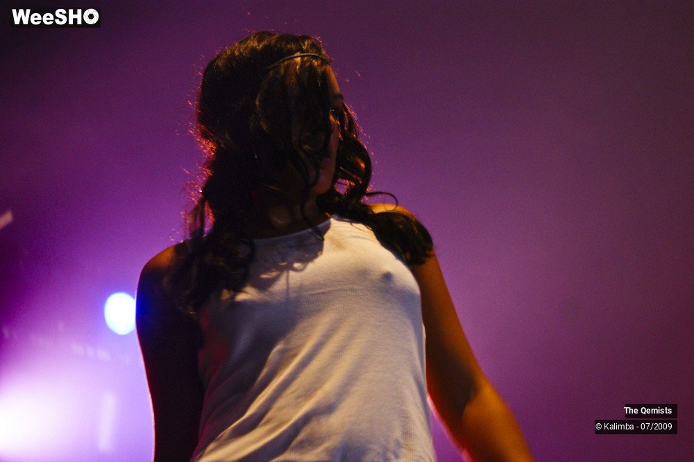 20/32 photos du spectacle The Qemists