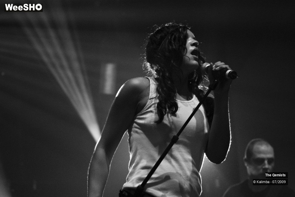 22/32 photos du spectacle The Qemists