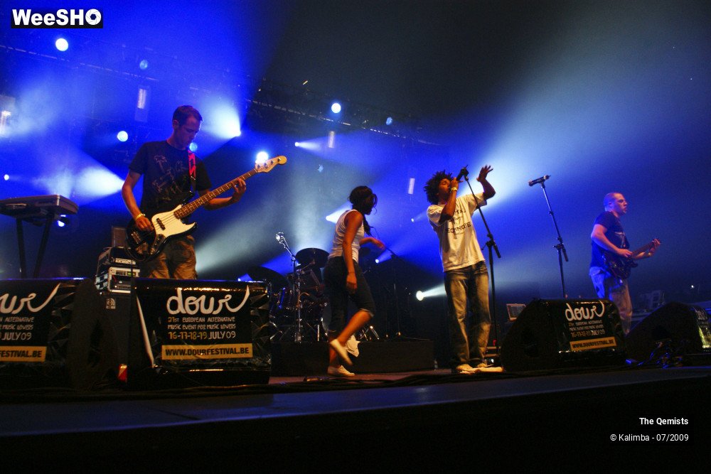 27/32 photos du spectacle The Qemists