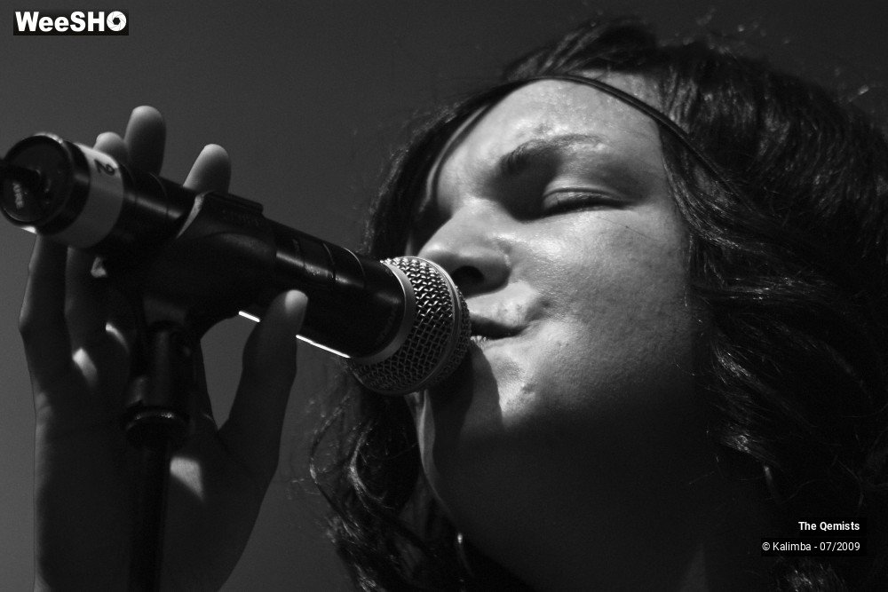 30/32 photos du spectacle The Qemists