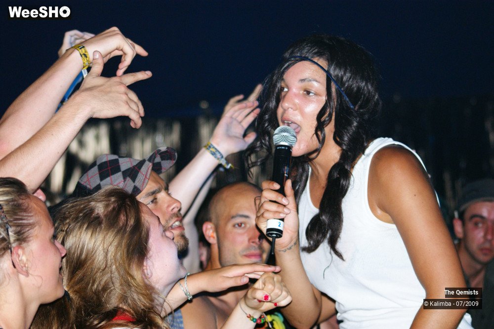 31/32 photos du spectacle The Qemists