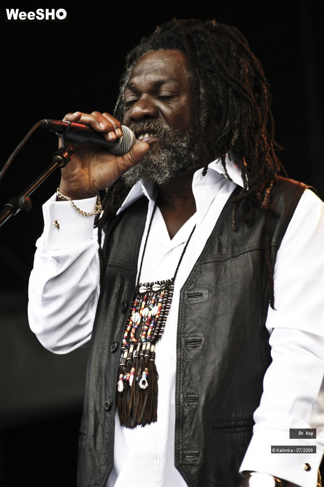 4/41 photos du spectacle Dr. Voy