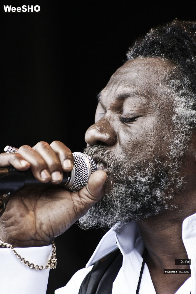 11/41 photos du spectacle Dr. Voy