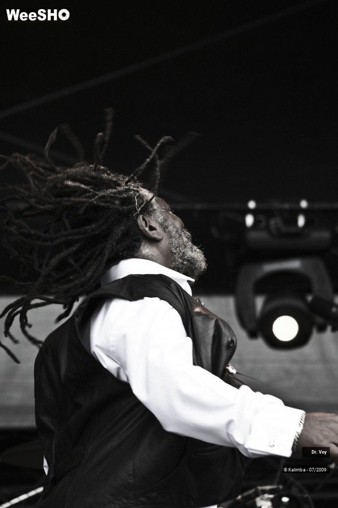 12/41 photos du spectacle Dr. Voy