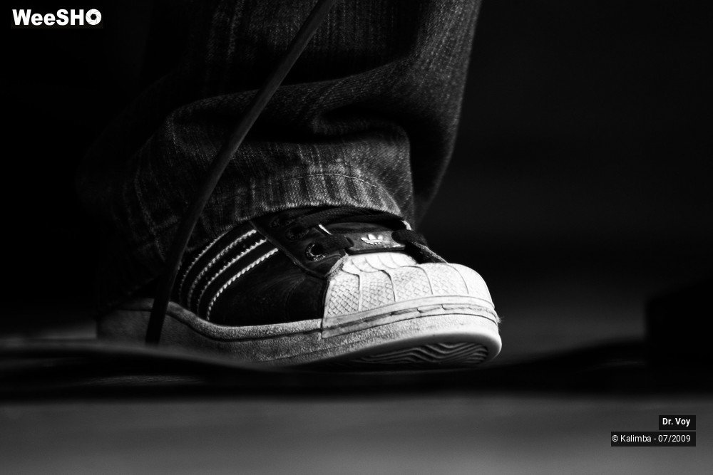 41/41 photos du spectacle Dr. Voy