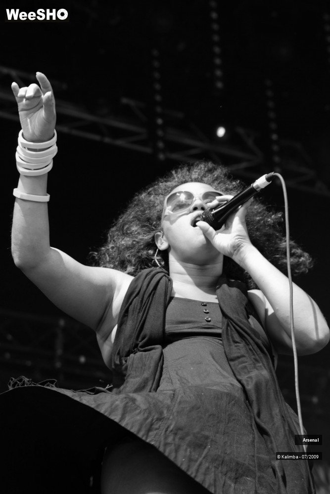 13/46 photos du spectacle Arsenal