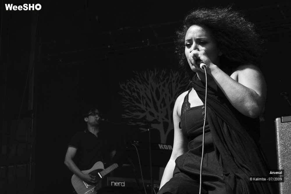 21/46 photos du spectacle Arsenal