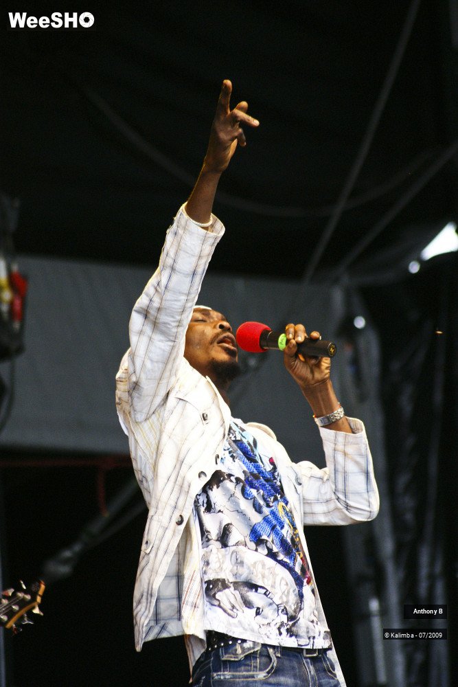 4/32 photos du spectacle Anthony B