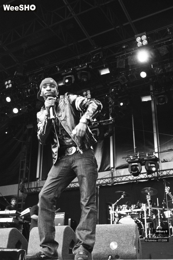 8/32 photos du spectacle Anthony B