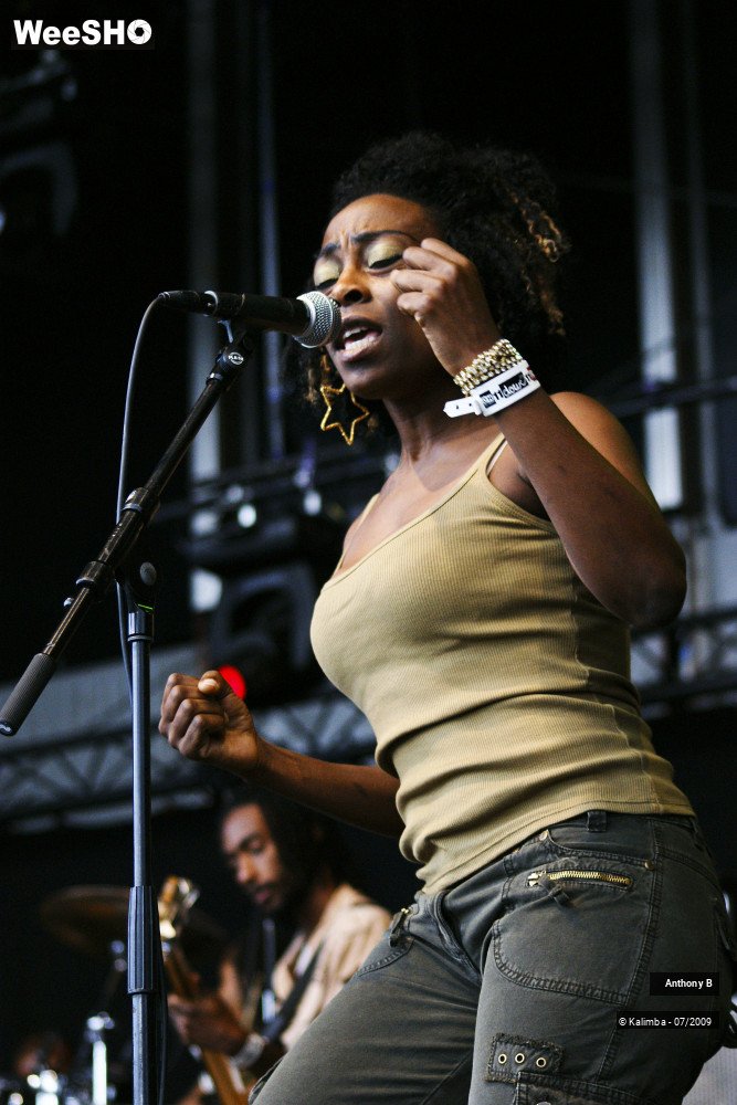 12/32 photos du spectacle Anthony B