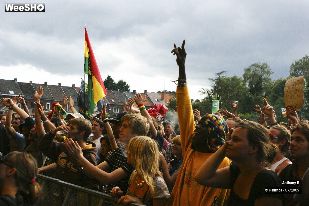 15/32 photos du spectacle Anthony B