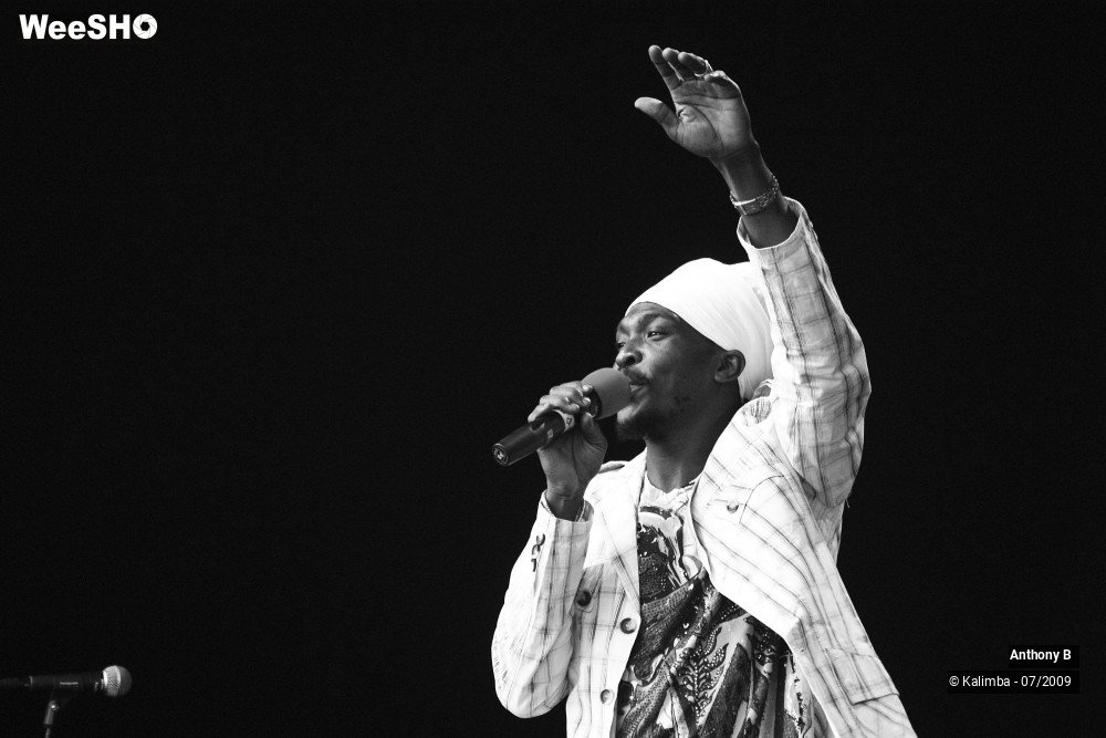 17/32 photos du spectacle Anthony B