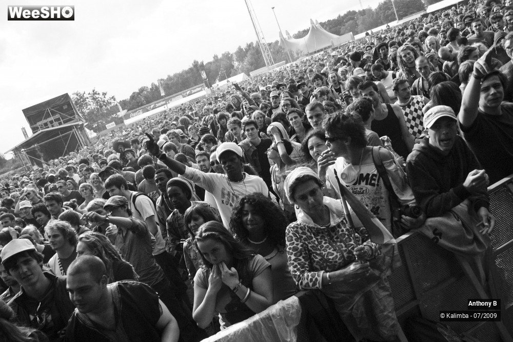 22/32 photos du spectacle Anthony B