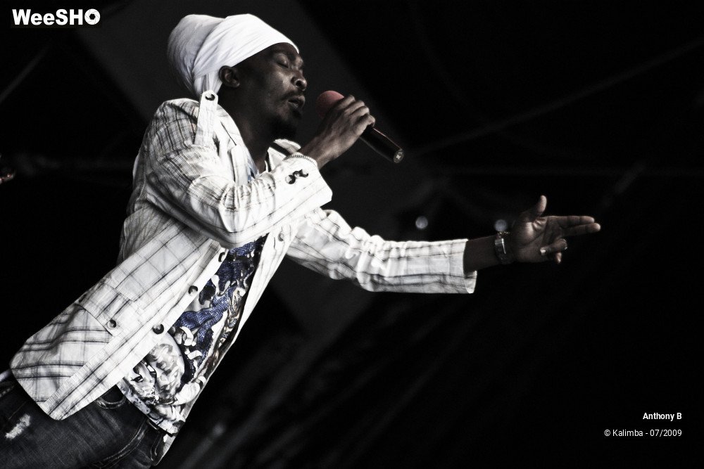 24/32 photos du spectacle Anthony B