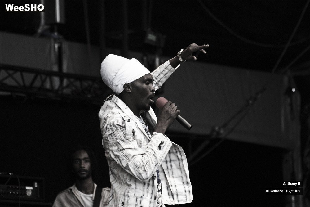 26/32 photos du spectacle Anthony B