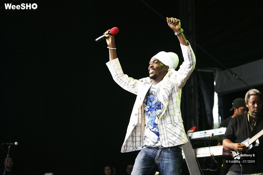 28/32 photos du spectacle Anthony B