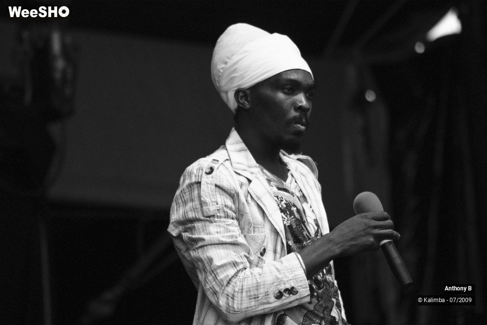 30/32 photos du spectacle Anthony B