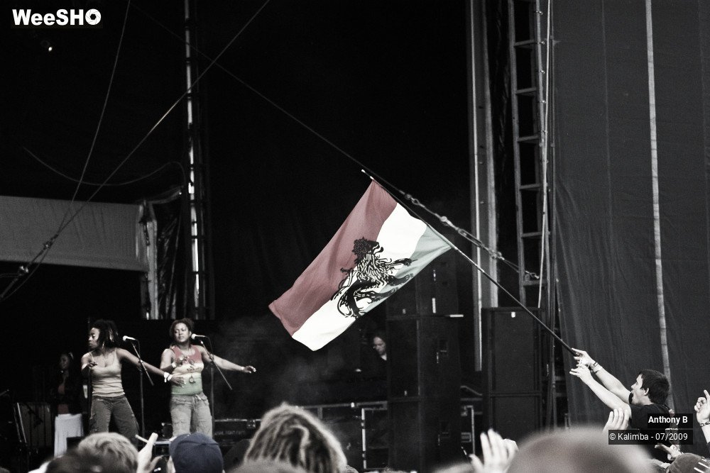 32/32 photos du spectacle Anthony B