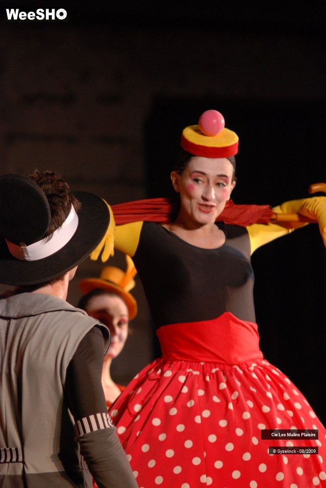 18/32 photos du spectacle Les Muses Buissonnières