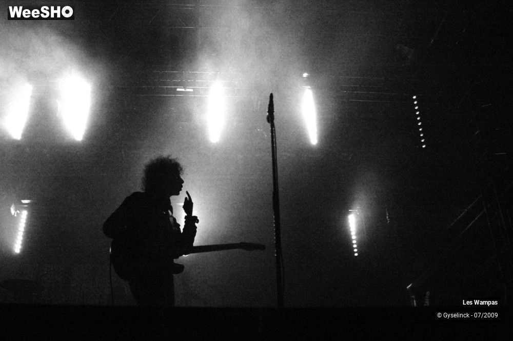 1/33 photos du spectacle Les Wampas