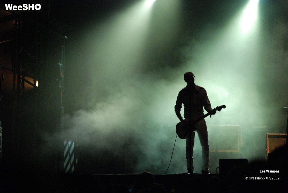 2/33 photos du spectacle Les Wampas