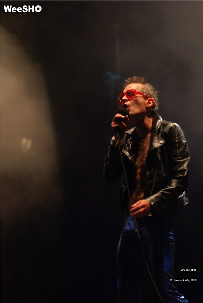 3/33 photos du spectacle Les Wampas