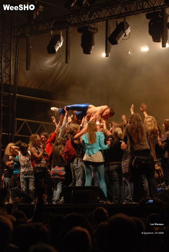 5/33 photos du spectacle Les Wampas