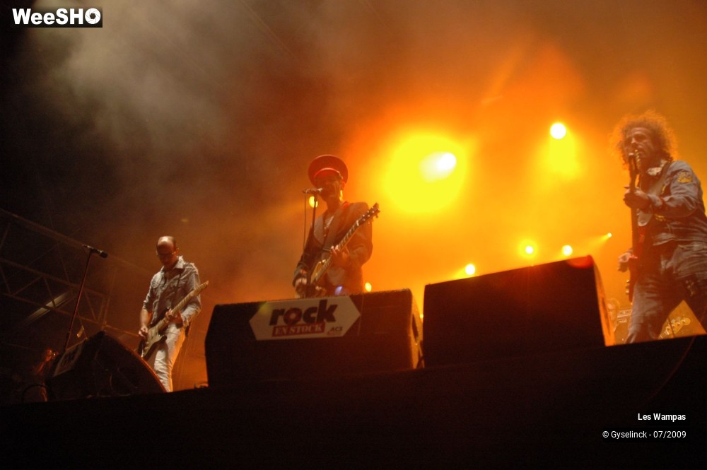 9/33 photos du spectacle Les Wampas