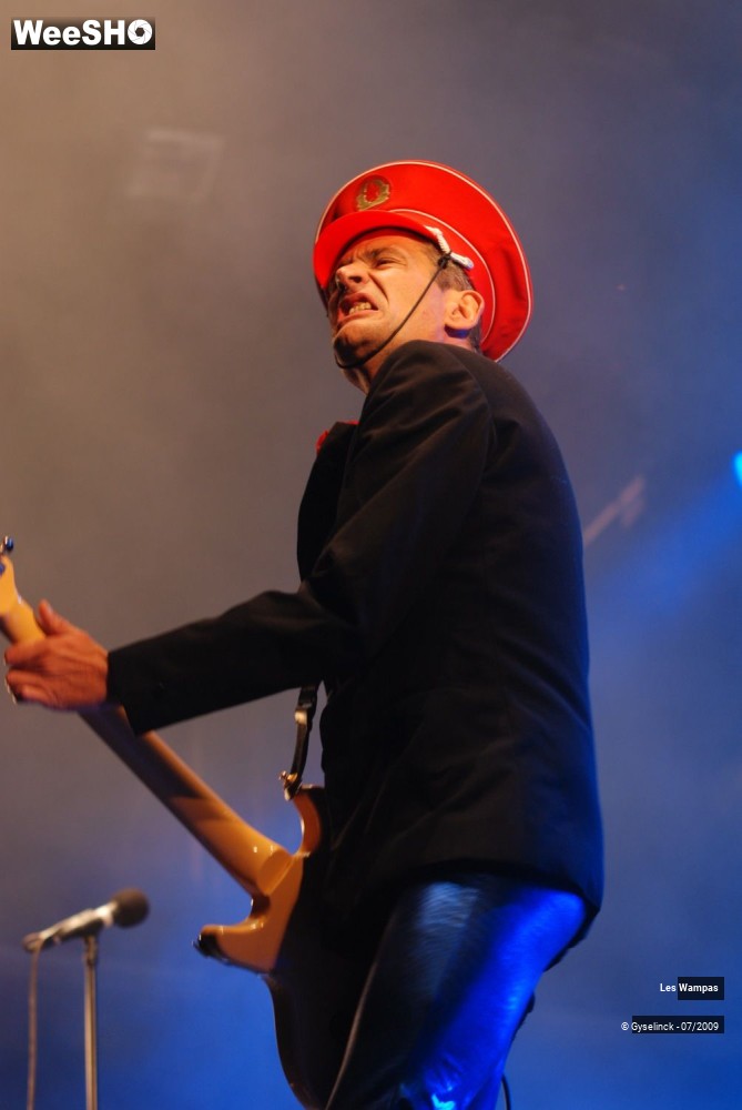 10/33 photos du spectacle Les Wampas