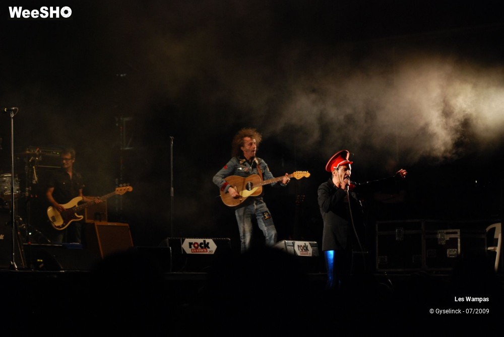12/33 photos du spectacle Les Wampas