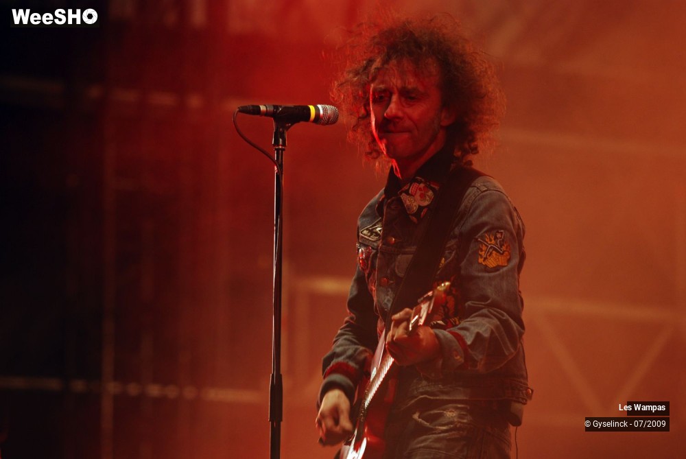 14/33 photos du spectacle Les Wampas