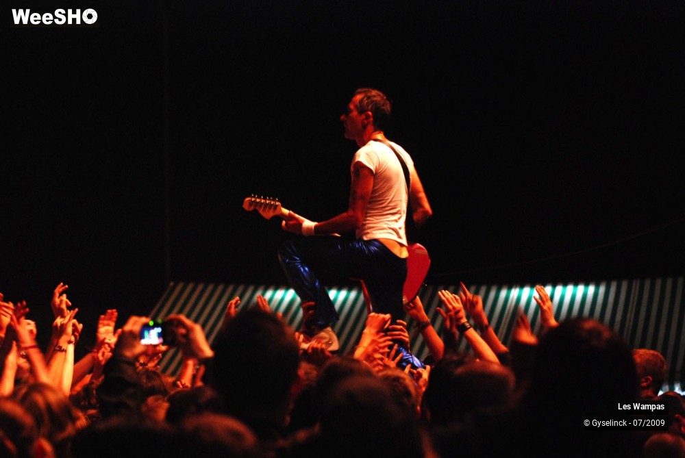 16/33 photos du spectacle Les Wampas