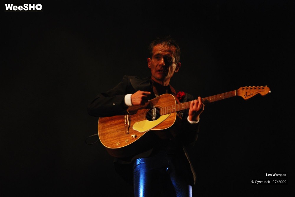 18/33 photos du spectacle Les Wampas